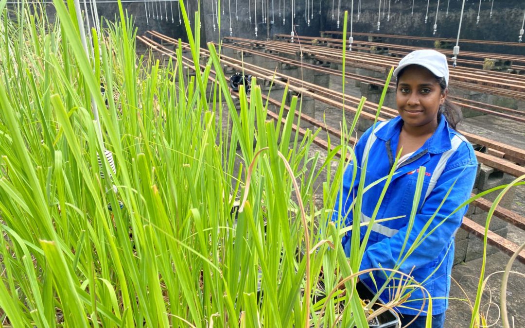 Amrita Sarnon, Technicienne dans l’équipe d’hybridation