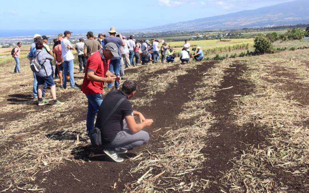 Démonstration d’épandage de Mafor réussie à Saint-Pierre