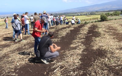 Successful Mafor spreading demonstration in Saint-Pierre