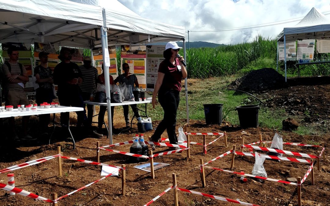 Deux matinées pour parler fertilisation avec les planteurs