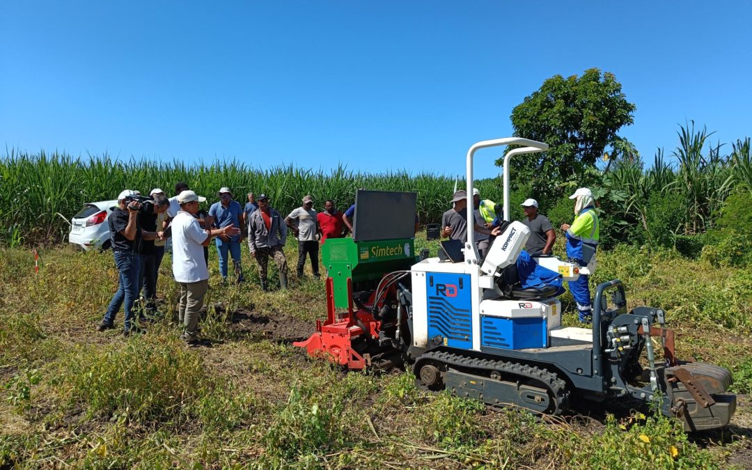 Projet IntercropValuES : présentation des plantes de services et retour d’expériences d’agriculteurs à St-Louis